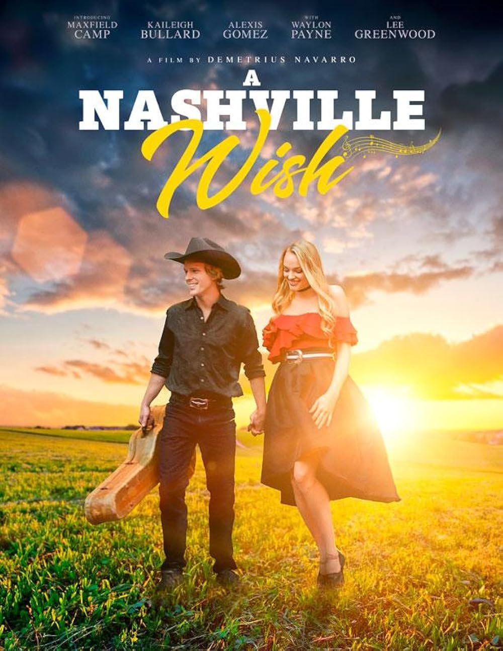 A Nashville Wish (Hindi Dubbed)